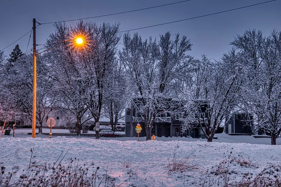 Cozy winter evening scene in Plainview, MN with snowy trees and glowing streetlights.