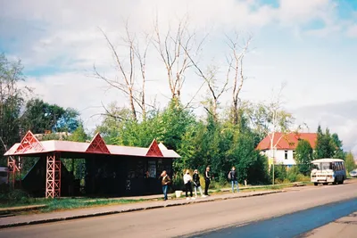 Quaint rural bus stop with people ready to catch a ride, surrounded by nature.